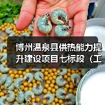 博州温泉县供热能力提升建设项目七标段(工程总承包)(图3) 博州温泉县供热能力提升建设项目七标段(工程总承包)(图3)