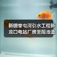 新疆奎屯河引水工程新龙口电站厂房至前池道路(S-DL03)路面工程招标公告(图2) 新疆奎屯河引水工程新龙口电站厂房至前池道路(S-DL03)路面工程招标公告(图2)