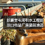 新疆奎屯河引水工程新龙口电站厂房至前池道路(S-DL03)路面工程招标公告(图4) 新疆奎屯河引水工程新龙口电站厂房至前池道路(S-DL03)路面工程招标公告(图4)