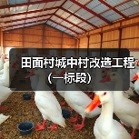 田面村城中村改造工程(一标段)(图2) 田面村城中村改造工程(一标段)(图2)