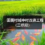田面村城中村改造工程(三标段)(图1) 田面村城中村改造工程(三标段)(图1)