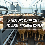 沙湾河深圳水库截排二期工程(大望及梧桐片区水源水质保障)施工总承包Ⅱ标(图1) 沙湾河深圳水库截排二期工程(大望及梧桐片区水源水质保障)施工总承包Ⅱ标(图1)