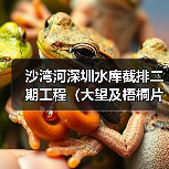 沙湾河深圳水库截排二期工程(大望及梧桐片区水源水质保障)施工总承包Ⅱ标(图4) 沙湾河深圳水库截排二期工程(大望及梧桐片区水源水质保障)施工总承包Ⅱ标(图4)