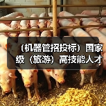 (机器管招投标)国家级(旅游)高技能人才培训基地项目施工总承包招标公告(图4) (机器管招投标)国家级(旅游)高技能人才培训基地项目施工总承包招标公告(图4)
