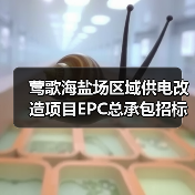 莺歌海盐场区域供电改造项目EPC总承包招标公告(图3) 莺歌海盐场区域供电改造项目EPC总承包招标公告(图3)