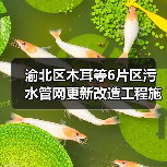 渝北区木耳等6片区污水管网更新改造工程施工(图2) 渝北区木耳等6片区污水管网更新改造工程施工(图2)