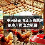 中央储备粮资阳直属库粮库升级改造项目(图1) 中央储备粮资阳直属库粮库升级改造项目(图1)