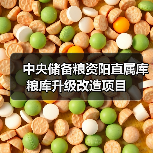 中央储备粮资阳直属库粮库升级改造项目(图2) 中央储备粮资阳直属库粮库升级改造项目(图2)
