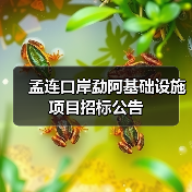 孟连口岸勐阿基础设施项目招标公告（图4）