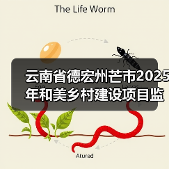 云南省德宏州芒市2025年和美乡村建设项目监理招标公告(图4) 云南省德宏州芒市2025年和美乡村建设项目监理招标公告(图4)