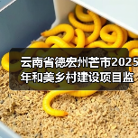 云南省德宏州芒市2025年和美乡村建设项目监理招标公告(图3) 云南省德宏州芒市2025年和美乡村建设项目监理招标公告(图3)