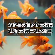 杂多县苏鲁乡新云村四社新(云村)三社公路工程施工招标公告 (项目编号:E6301000076059606)(图2) 杂多县苏鲁乡新云村四社新(云村)三社公路工程施工招标公告 (项目编号:E6301000076059606)(图2)