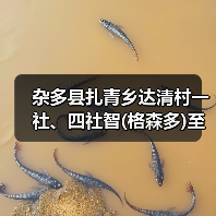 杂多县扎青乡达清村一社、四社智(格森多)至桑(那龙哇)公路工程施工招标公告 (项目编号:E6301000076059608)(图3) 杂多县扎青乡达清村一社、四社智(格森多)至桑(那龙哇)公路工程施工招标公告 (项目编号:E6301000076059608)(图3)