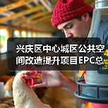 兴庆区中心城区公共空间改造提升项目EPC总承包招标公告(图2) 兴庆区中心城区公共空间改造提升项目EPC总承包招标公告(图2)