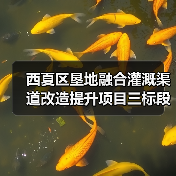 西夏区垦地融合灌溉渠道改造提升项目三标段招标公告(图3) 西夏区垦地融合灌溉渠道改造提升项目三标段招标公告(图3)