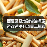 西夏区垦地融合灌溉渠道改造提升项目三标段招标公告(图4) 西夏区垦地融合灌溉渠道改造提升项目三标段招标公告(图4)