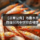 【正常公告】乌鲁木齐县庙尔沟中学综合楼建设项目招标公告(图1) 【正常公告】乌鲁木齐县庙尔沟中学综合楼建设项目招标公告(图1)