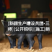[新疆生产建设兵团·三师][公开招标][施工]新疆唐王城鼎盛综合产业基地及其附属配套建设项目（一期）(施工五标段)（图4）