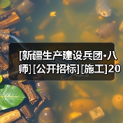 [新疆生产建设兵团·八师][公开招标][施工]2025年高新区双港园区基础设施及配套设施建设项目(二期)-给水、排水设计采购施工一体化总承包（图2）