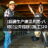 [新疆生产建设兵团·八师][公开招标][施工]2025年高新区双港园区基础设施及配套设施建设项目(二期)-给水、排水设计采购施工一体化总承包（图1）