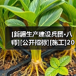[新疆生产建设兵团·八师][公开招标][施工]2025年高新区双港园区基础设施及配套设施建设项目(二期)-给水、排水设计采购施工一体化总承包（图4）
