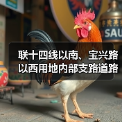 联十四线以南、宝兴路以西用地内部支路道路工程(图3) 联十四线以南、宝兴路以西用地内部支路道路工程(图3)