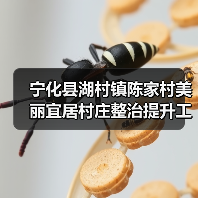宁化县湖村镇陈家村美丽宜居村庄整治提升工程项目（图1）