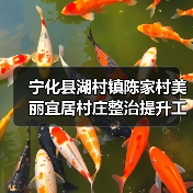 宁化县湖村镇陈家村美丽宜居村庄整治提升工程项目（图4）