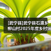 [武宁县]武宁县石渡乡柳山村2025年度乡村振兴示范村工程竞争性磋商采购公告(网)（图4）