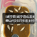 [武宁县]武宁县石渡乡柳山村2025年度乡村振兴示范村工程竞争性磋商采购公告(网)（图3）