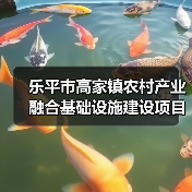 乐平市高家镇农村产业融合基础设施建设项目竞争性磋商招标公告（图1）