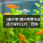 [德兴市]德兴市香屯街道汪家村江村“四融一共”和美乡村建设项目施工招标公告（图1）