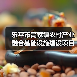 乐平市高家镇农村产业融合基础设施建设项目竞争性磋商招标公告（图4）