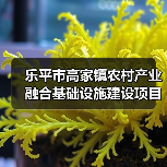 乐平市高家镇农村产业融合基础设施建设项目竞争性磋商招标公告（图2）