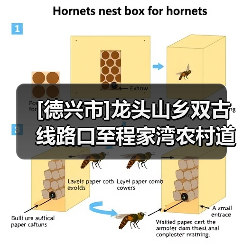 [德兴市]龙头山乡双古线路口至程家湾农村道路改造工程（图4）