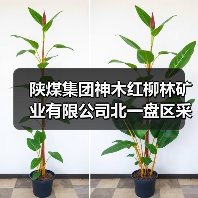 陕煤集团神木红柳林矿业有限公司北一盘区采煤沉陷沉稳区灌溉复垦工程招标公告(图1) 陕煤集团神木红柳林矿业有限公司北一盘区采煤沉陷沉稳区灌溉复垦工程招标公告(图1)