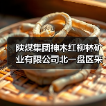 陕煤集团神木红柳林矿业有限公司北一盘区采煤沉陷沉稳区灌溉复垦工程招标公告(图2) 陕煤集团神木红柳林矿业有限公司北一盘区采煤沉陷沉稳区灌溉复垦工程招标公告(图2)