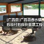 [广昌县]广昌县赤水镇石良村石良桥重建工程(网) 投资项目代码：2507-361030-04-05-855515（图4）