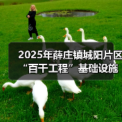 2025年薛庄镇城阳片区“百千工程”基础设施道路硬化项目招标公告(图3) 2025年薛庄镇城阳片区“百千工程”基础设施道路硬化项目招标公告(图3)