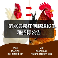 沂水县泉庄河路建设工程招标公告(图4) 沂水县泉庄河路建设工程招标公告(图4)