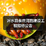 沂水县泉庄河路建设工程招标公告(图1) 沂水县泉庄河路建设工程招标公告(图1)