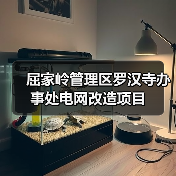 屈家岭管理区罗汉寺办事处电网改造项目(图2) 屈家岭管理区罗汉寺办事处电网改造项目(图2)