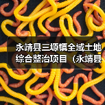 永靖县三塬镇全域土地综合整治项目(永靖县三塬镇库区移民沟道生态保护与修复工程)施工(图3) 永靖县三塬镇全域土地综合整治项目(永靖县三塬镇库区移民沟道生态保护与修复工程)施工(图3)