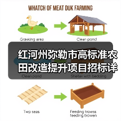 红河州弥勒市高标准农田改造提升项目招标详情（图1）