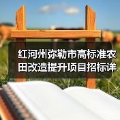 红河州弥勒市高标准农田改造提升项目招标详情（图2）