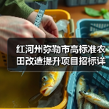 红河州弥勒市高标准农田改造提升项目招标详情（图3）