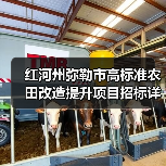 红河州弥勒市高标准农田改造提升项目招标详情（图4）