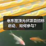 惠东屋顶光伏项目招标启动,如何参与?(图1) 惠东屋顶光伏项目招标启动,如何参与?(图1)