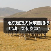 惠东屋顶光伏项目招标启动,如何参与?(图2) 惠东屋顶光伏项目招标启动,如何参与?(图2)