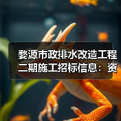 婺源市政排水改造工程二期施工招标信息:资质要求与投标指南(图3) 婺源市政排水改造工程二期施工招标信息:资质要求与投标指南(图3)